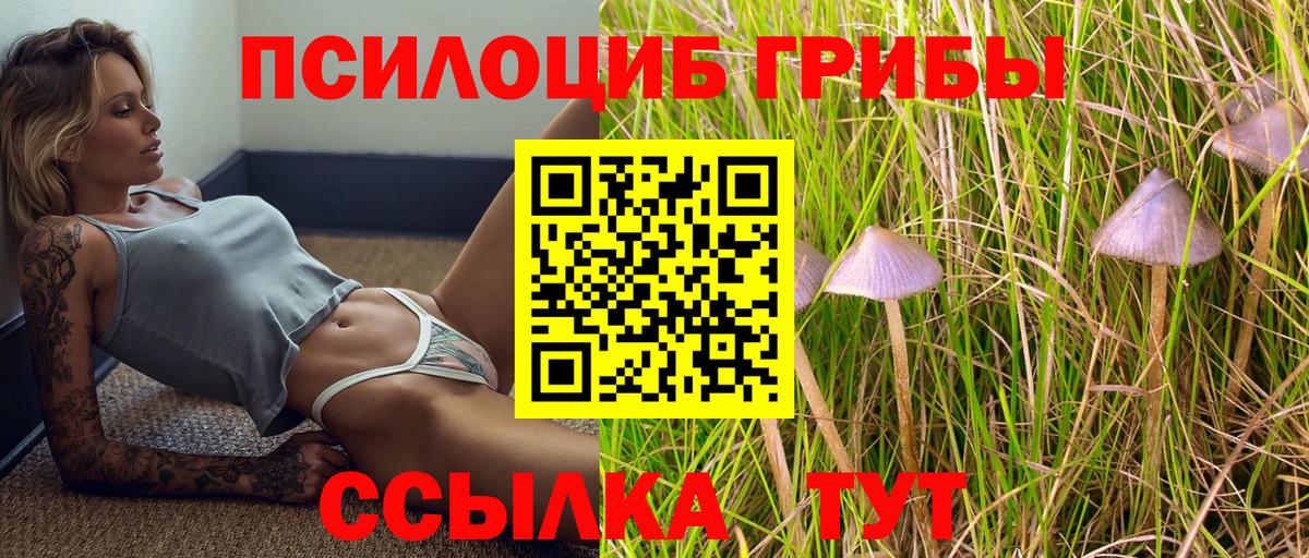 Галлюциногенные грибы мицелий  Галлюциногенные грибы мицелий  Вход с VPN  закладка  Тихвин 